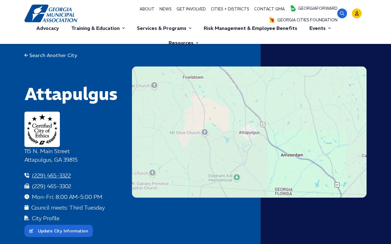 Attapulgus court docket profile in Decatur County