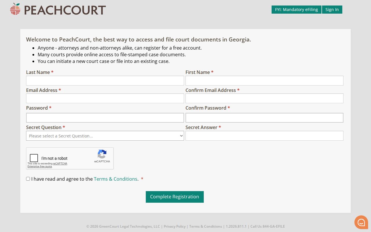 Decatur County court record search PeachCourt registration access